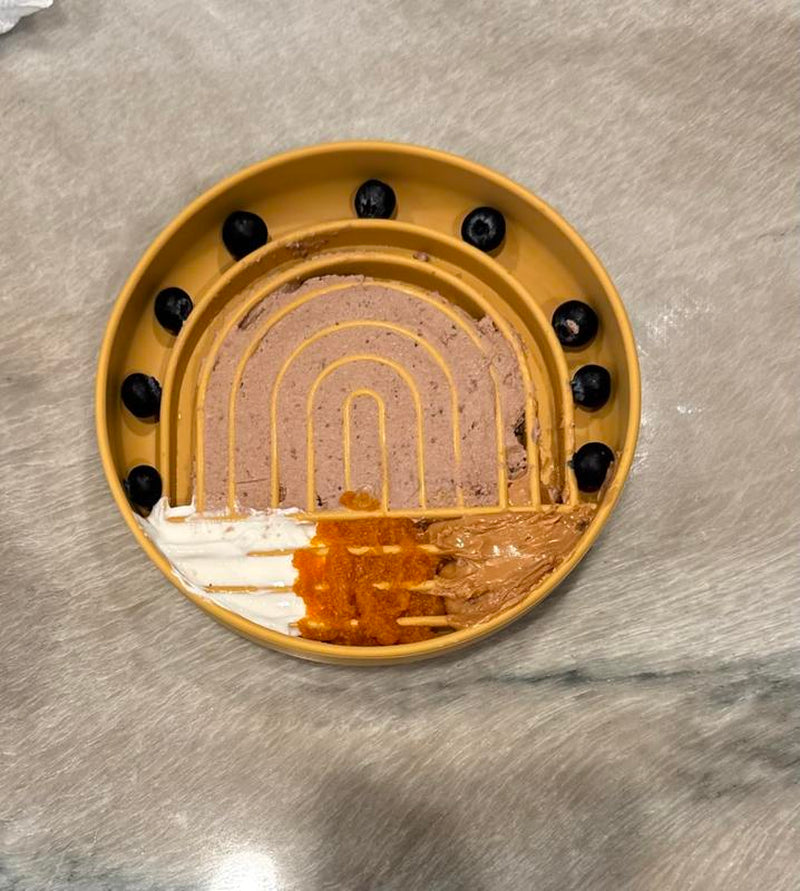 Rainbow Slow Feeder & FREE COOKIE