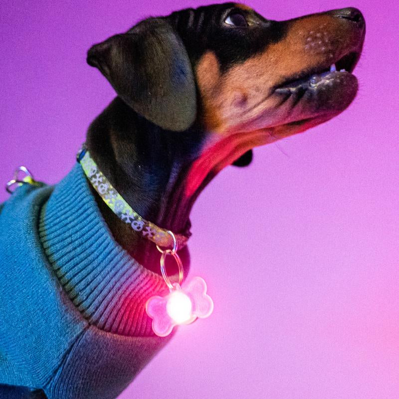 Brightz Pup Brightz 2-Pack Illuminated LED Dog Collar Charms Rainbow Glow Lights for Night Walks Waterproof & Durable with Paw Print & Bone Charms