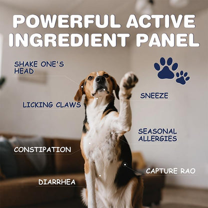 Dog&Cat Probiotic Bites, 50 Billion Probiotics,Maintain Intestinal Health,Improve Immune System Function,Nutritional Supplement Animal