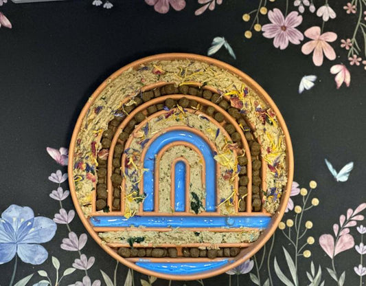 Rainbow Slow Feeder & FREE COOKIE