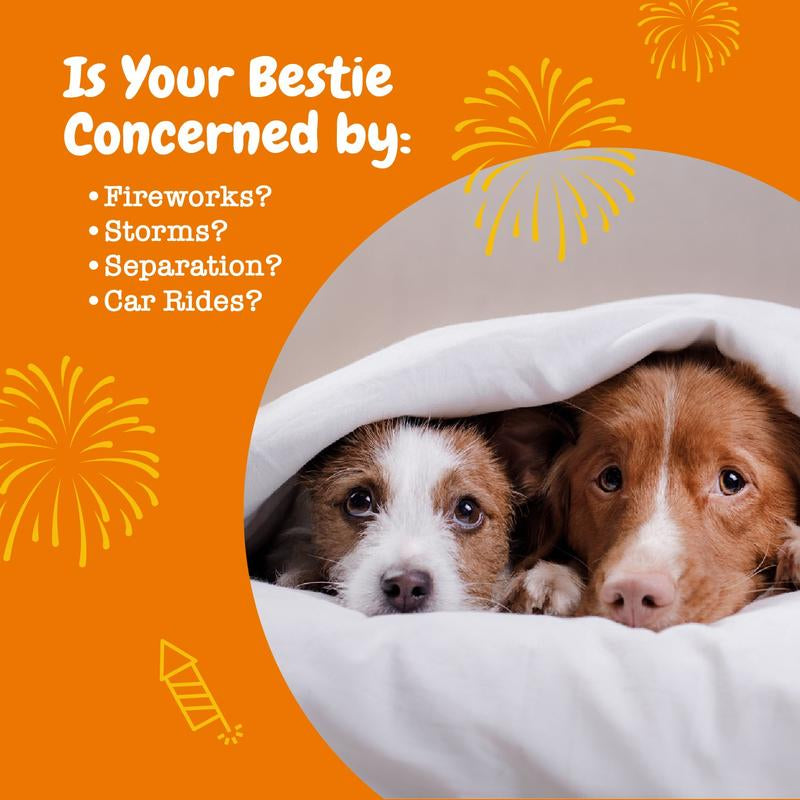 Zesty Paws Calming Bites for Dogs, Dog Composure & Calming Chews, Relief Soft Chew Pet Treats for Everyday Stress Support