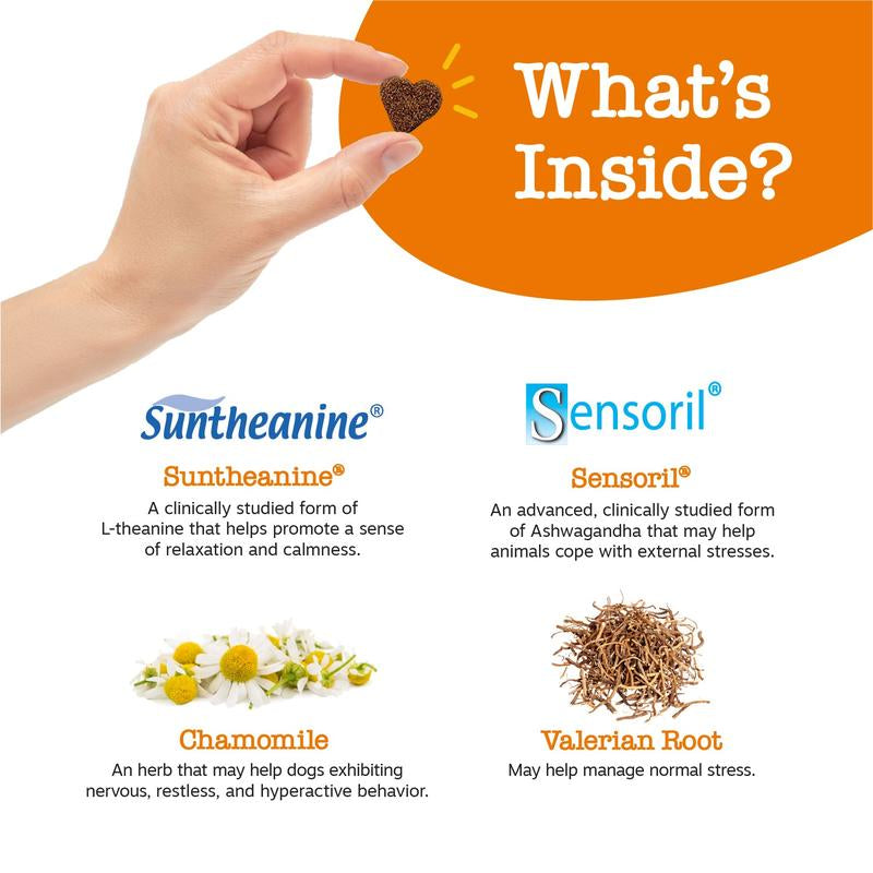 Zesty Paws Calming Bites for Dogs, Dog Composure & Calming Chews, Relief Soft Chew Pet Treats for Everyday Stress Support