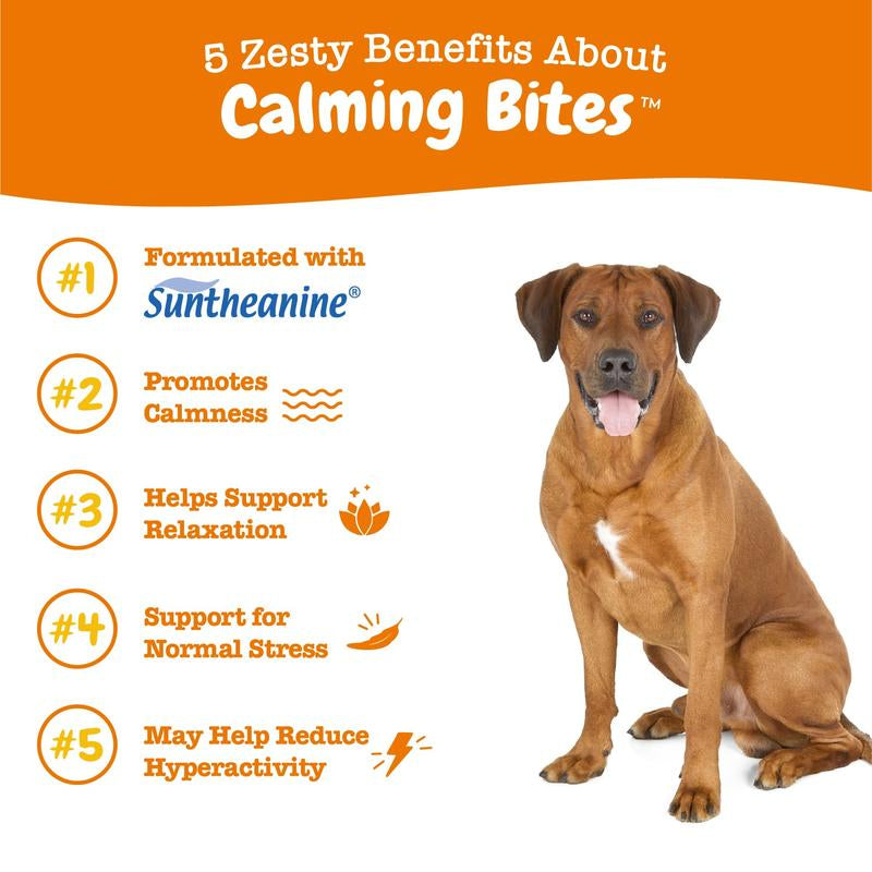 Zesty Paws Calming Bites for Dogs, Dog Composure & Calming Chews, Relief Soft Chew Pet Treats for Everyday Stress Support