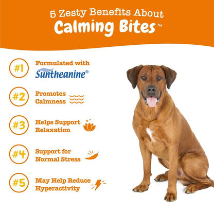 Zesty Paws Calming Bites for Dogs, Dog Composure & Calming Chews, Relief Soft Chew Pet Treats for Everyday Stress Support