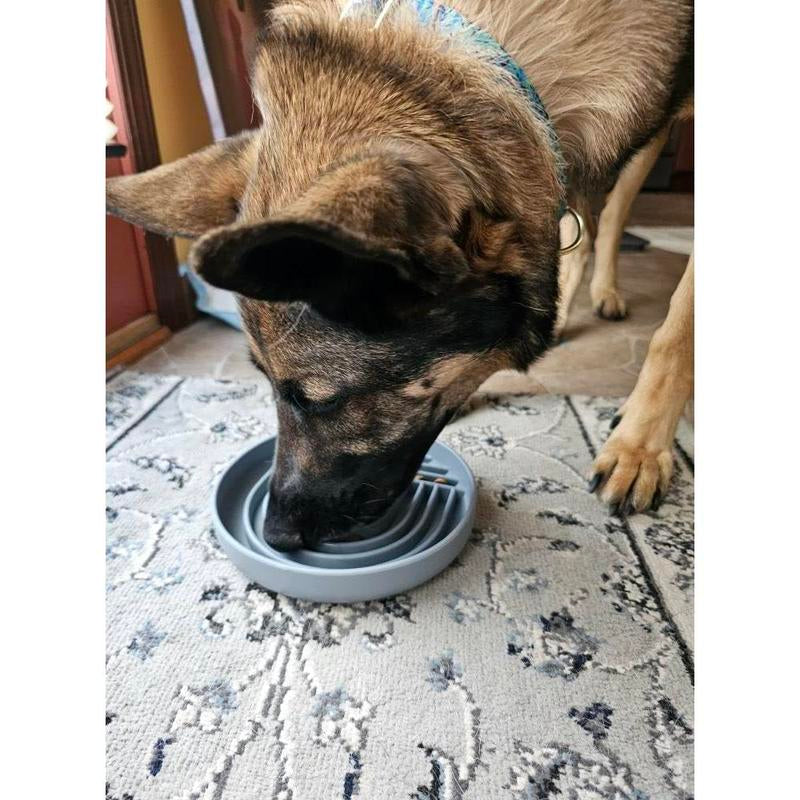 Rainbow Slow Feeder & FREE COOKIE