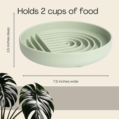 Rainbow Slow Feeder & FREE COOKIE